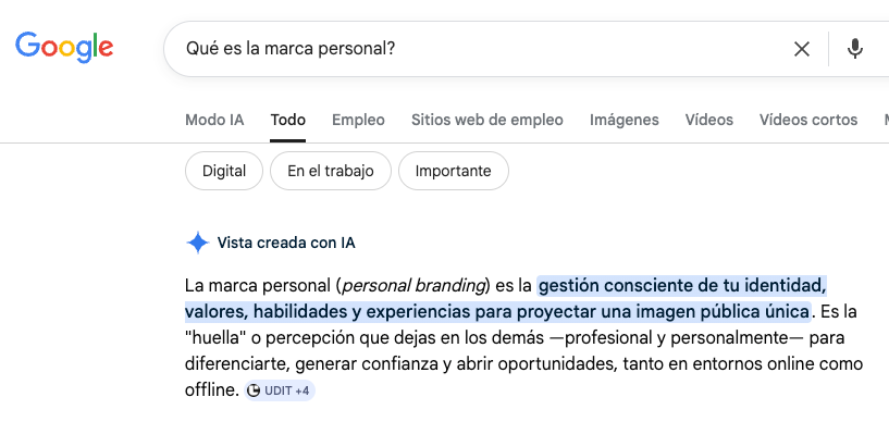 AI overview de Google